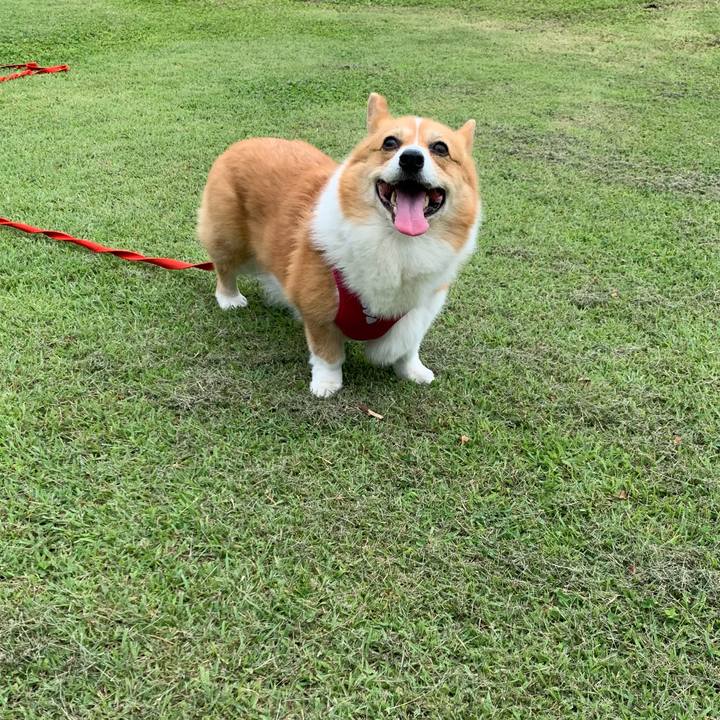 Fd752c43 b958 4eb9 b61e 46bac46a8c81 1624414277767