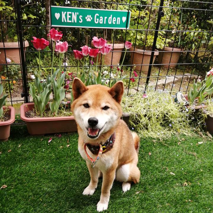 Fd755293 0f19 430a ab29 aac1c6318979 1588506295570