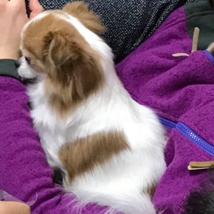 Fd759181 ee41 457b b1c1 ca69ff7a309f 1584773294860