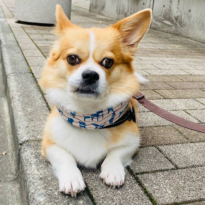 Fd75abb8 31d9 44db 8031 8d82af196265 1694826032562