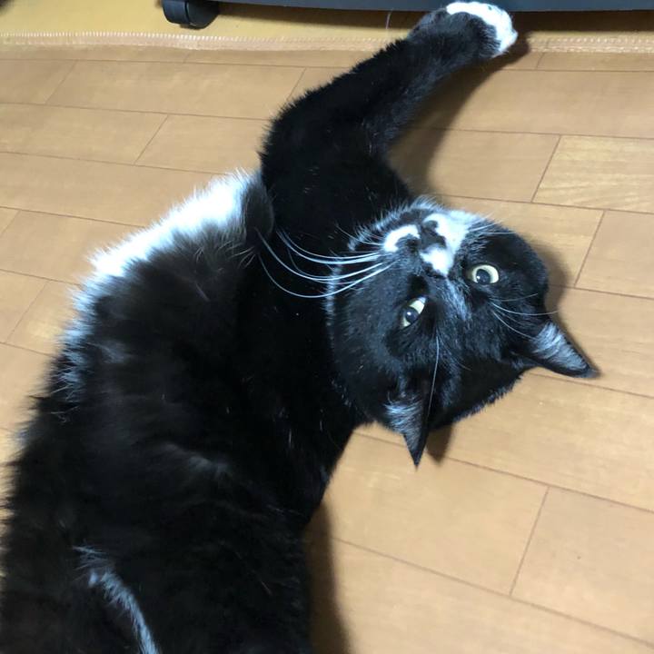 Fd75e5a9 1da8 4a03 82ee 5440dc916a8a 1644896237305