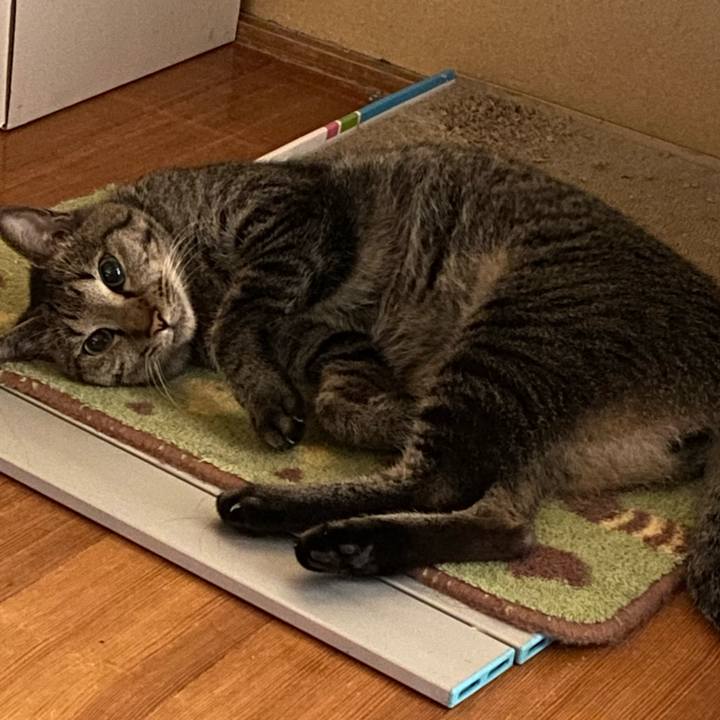 Fd75ec55 0ea3 4316 a126 e3cd98120950 1764075184339