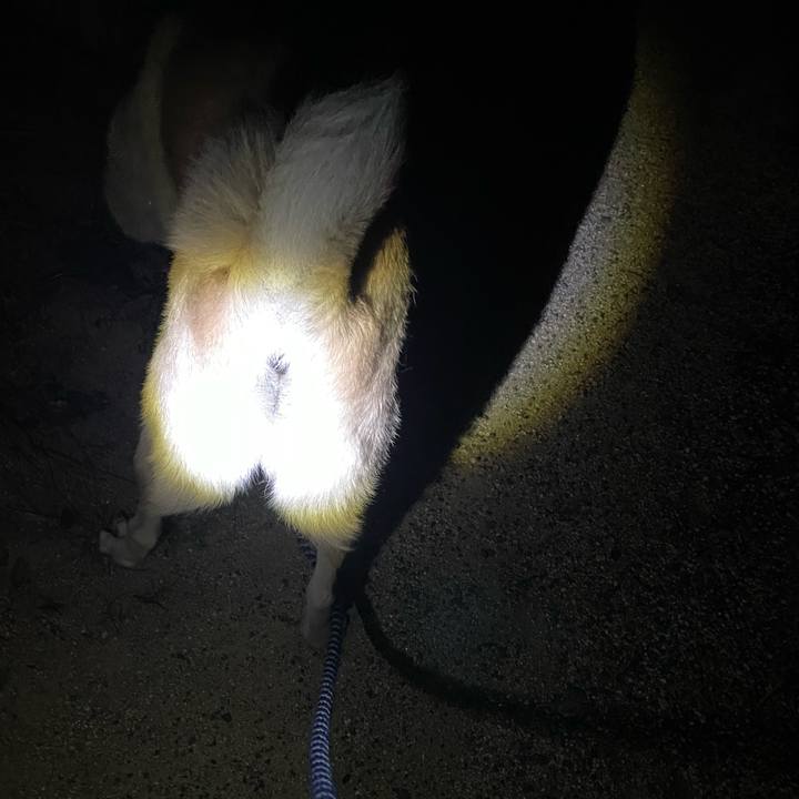 Fd760d8d c5c3 48ef af3b 6877e8b2735f 1660306405995