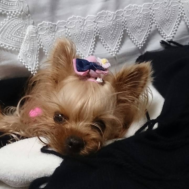 Fd761b00 b2c5 4f0f bac3 4bfdf1506108 1516667341374