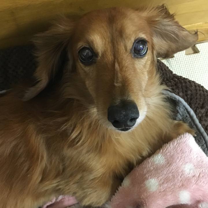 Fd763bd1 2664 4e69 91d8 5bc11d9c1cc0 1517129349189