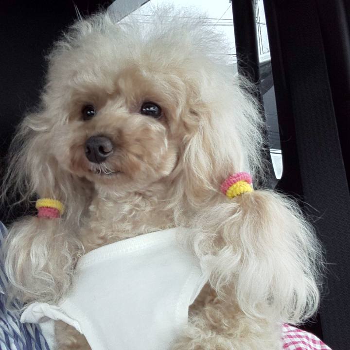 Fd7681d3 d1ea 4469 9fb6 b2de07b89fbf 1569326045898