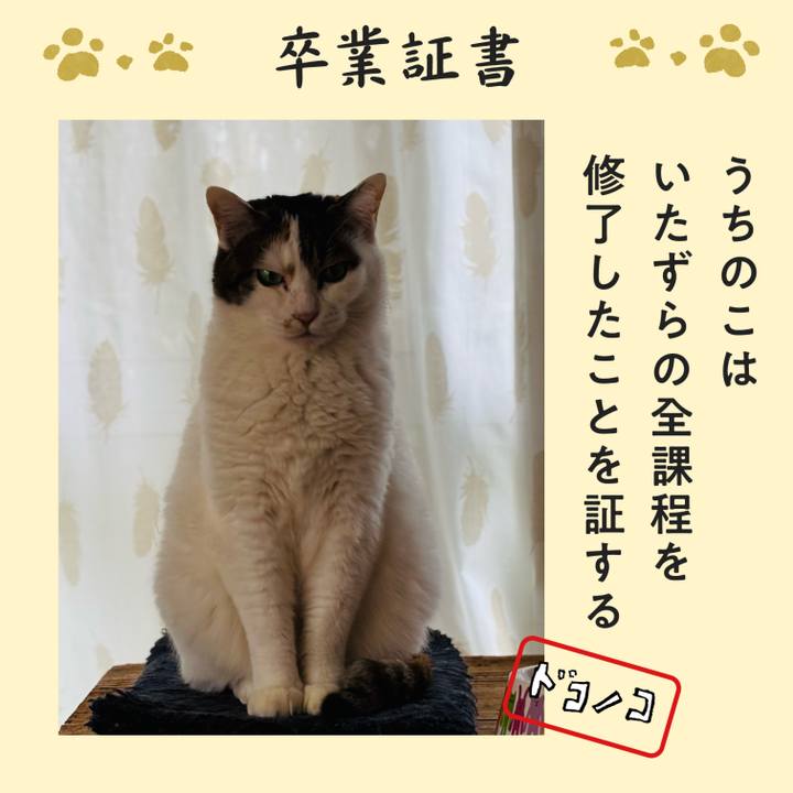 Fd768823 56df 45e0 916f e8eb50459ae6 1772080785913