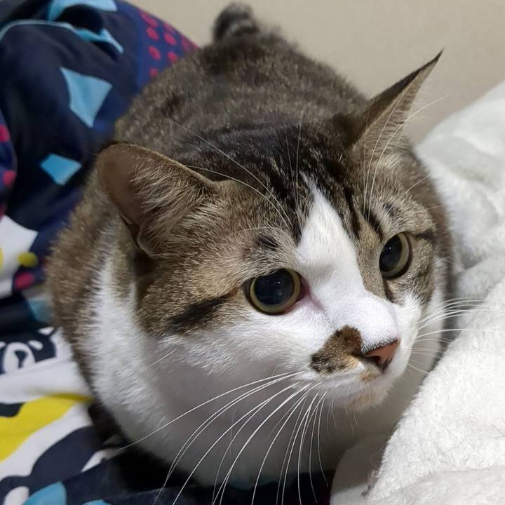 Fd76a154 4b75 4dc0 956b 7c85f2dcff96 1671893385564