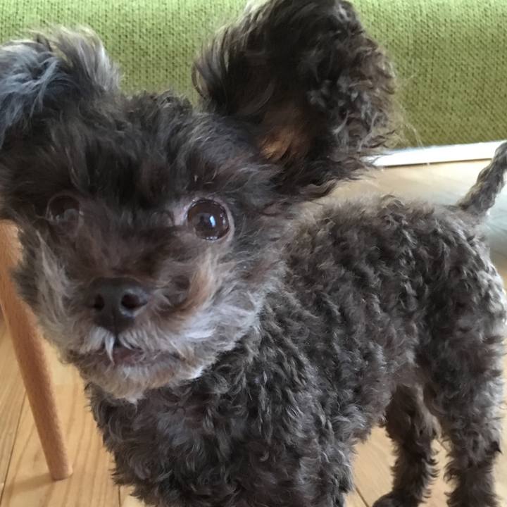 Fd76b95f 07ae 4379 86f9 ac84b043a32d 1510732076796