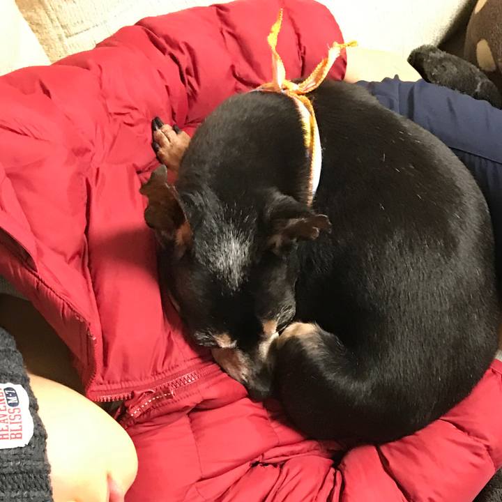 Fd76bde6 db7e 4003 8563 2832005c030b 1518954966399