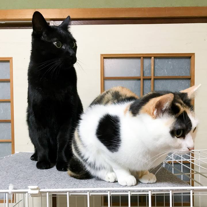 Fd76e321 5257 4881 bc74 bb5a48d5ccaa 1513731417629