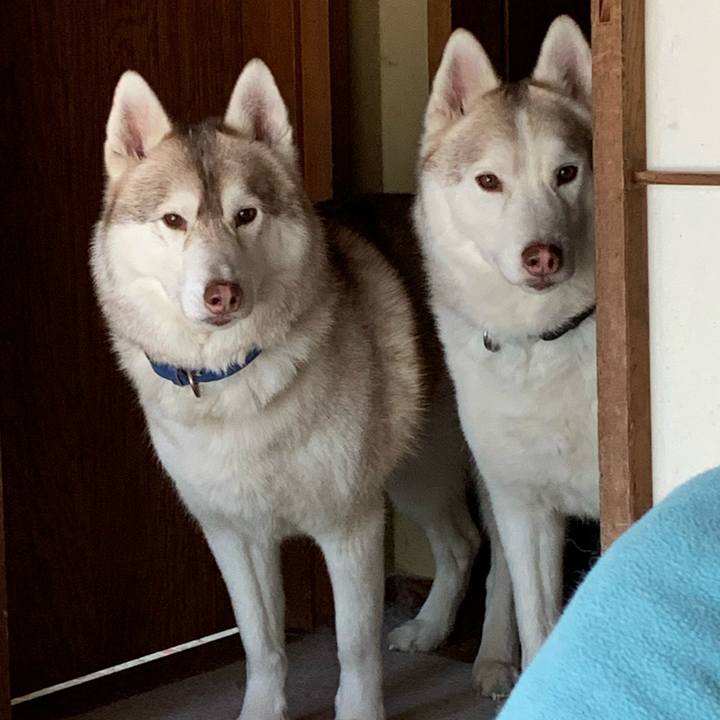 Fd76fcc0 822d 45a4 9d10 8a6689cf8803 1613031761076