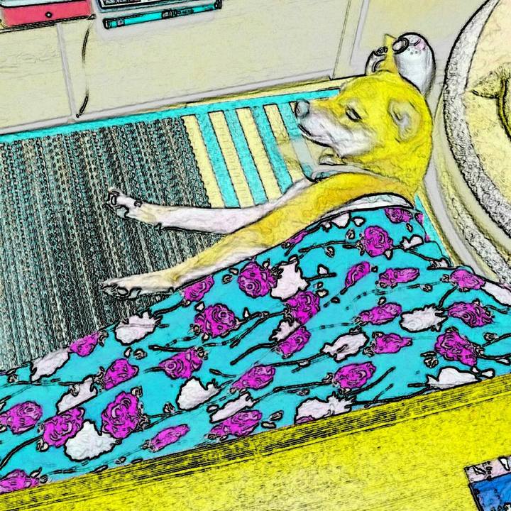 Fd770f58 a623 4a38 abb8 7f9076ee4ede 1576588521098