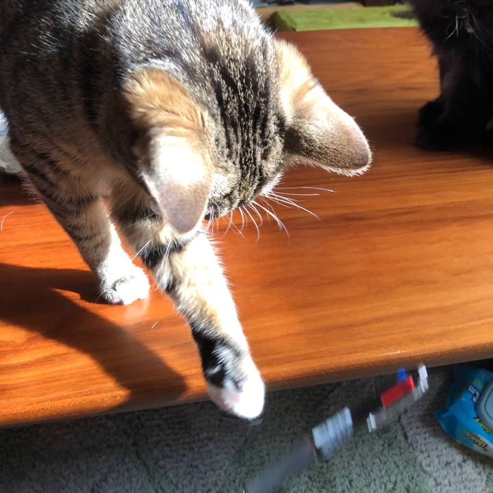 Fd772b29 aa81 4f0f 97bf 3c8b1dbe2763 1574654045864