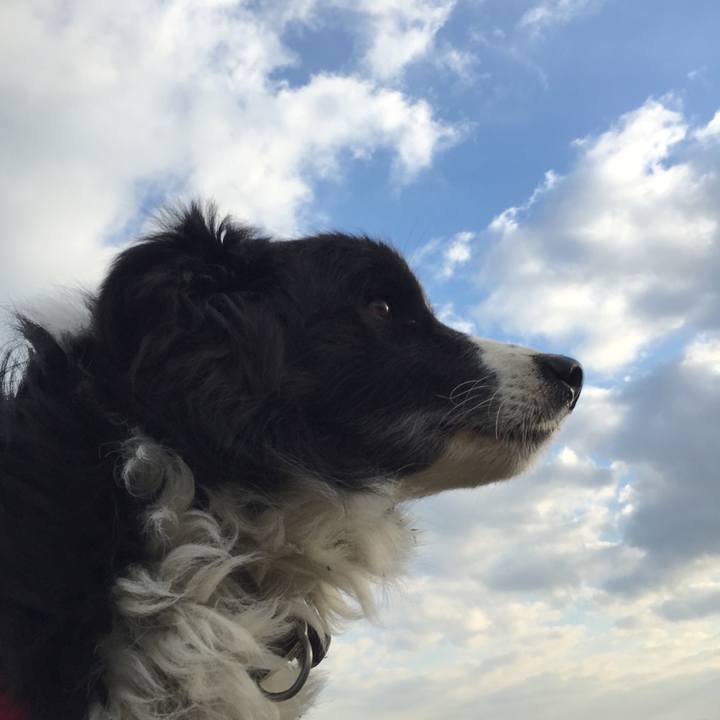 Fd77405e 6489 496e afb9 c6be50d950d6 1547683182567