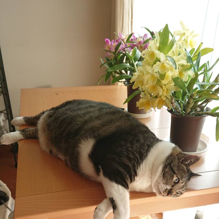 Fd7747a3 78a2 48b6 b0da 6abae0dd79b5 1529623680122