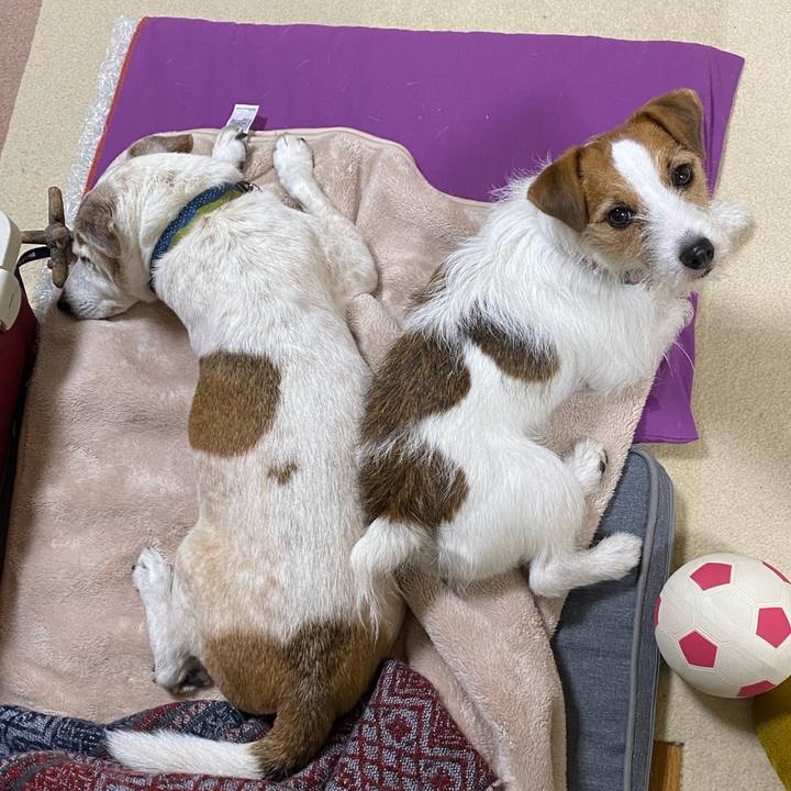 Fd779ef4 d3b5 4968 b4c6 7f1880718ca9 1673001657703