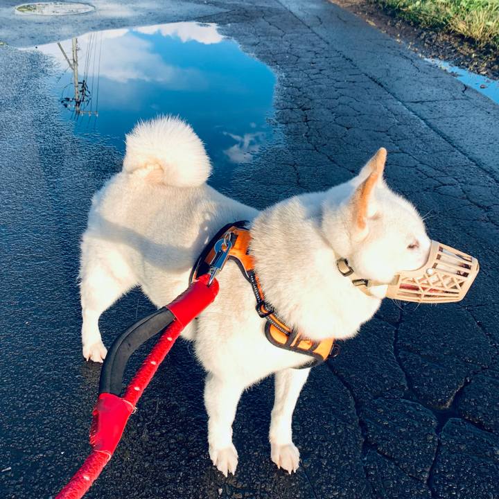 Fd77a075 2adc 4041 8223 51e4cc763939 1665439646769