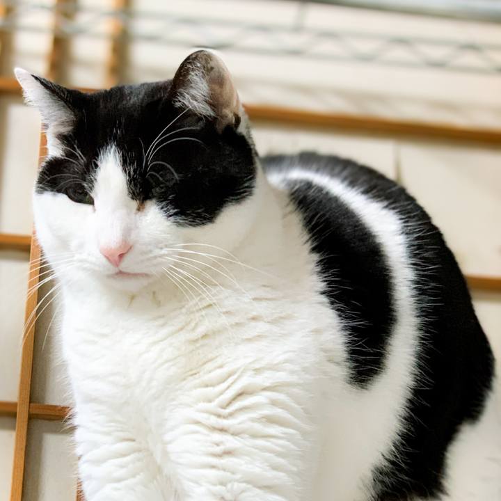 Fd77aba3 f4b8 425a 96a6 60e95d7577ea 1589246469537