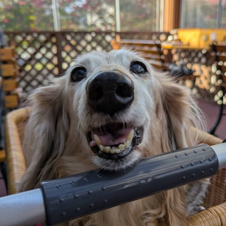 Fd77ca2d b9d4 4ac5 b487 055e48abd00b 1768712730649