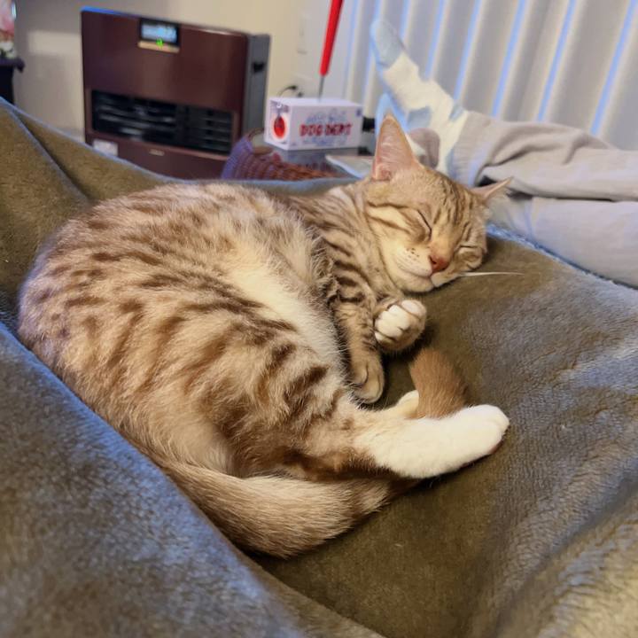 Fd7814d1 5e20 4128 b891 37dfee9ea340 1711632168441