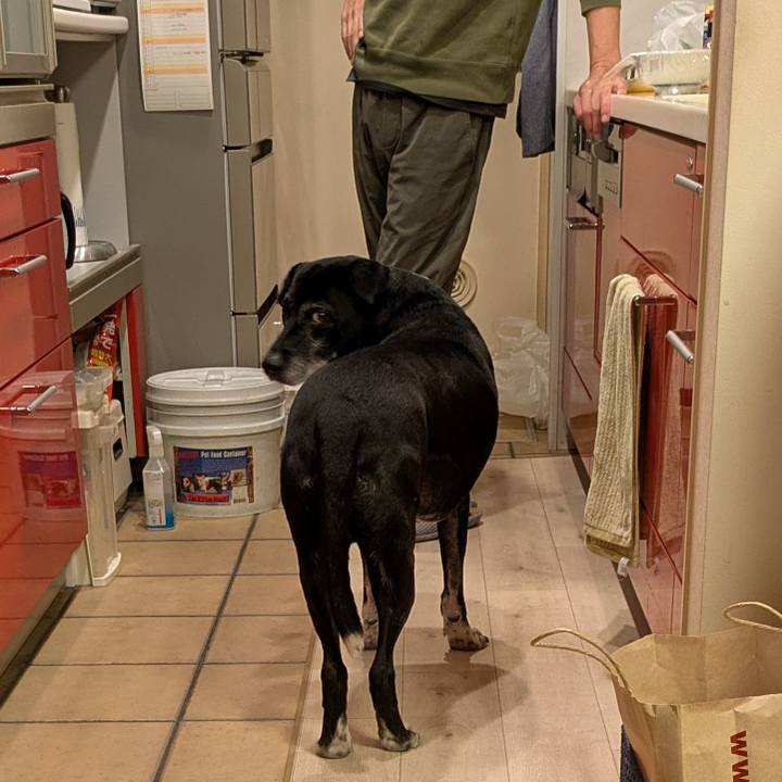 Fd7814fe d7f7 4f9f 8020 b4a98dc7d4a4 1765321406869