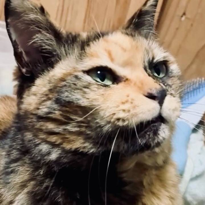 Fd7888b4 b634 4c94 a223 983b483fb79e 1771246312167