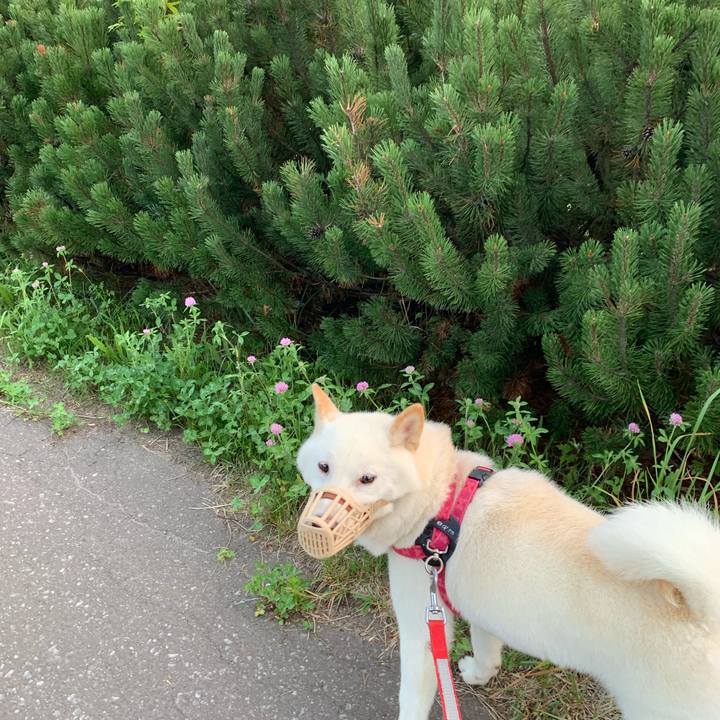 Fd789dd0 6b75 4227 9c6e 3517fd8b376e 1565139288027