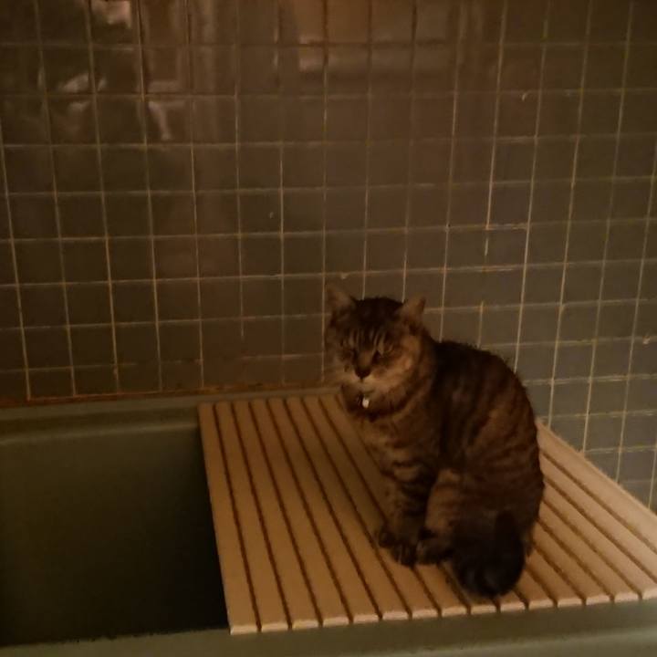 Fd790d76 d1ec 4a4c 8bc6 49b27789b913 1572512952137