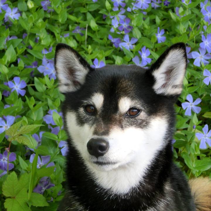 Fd7975fe b6fc 4e82 9912 e31d7af39cca 1526026274204