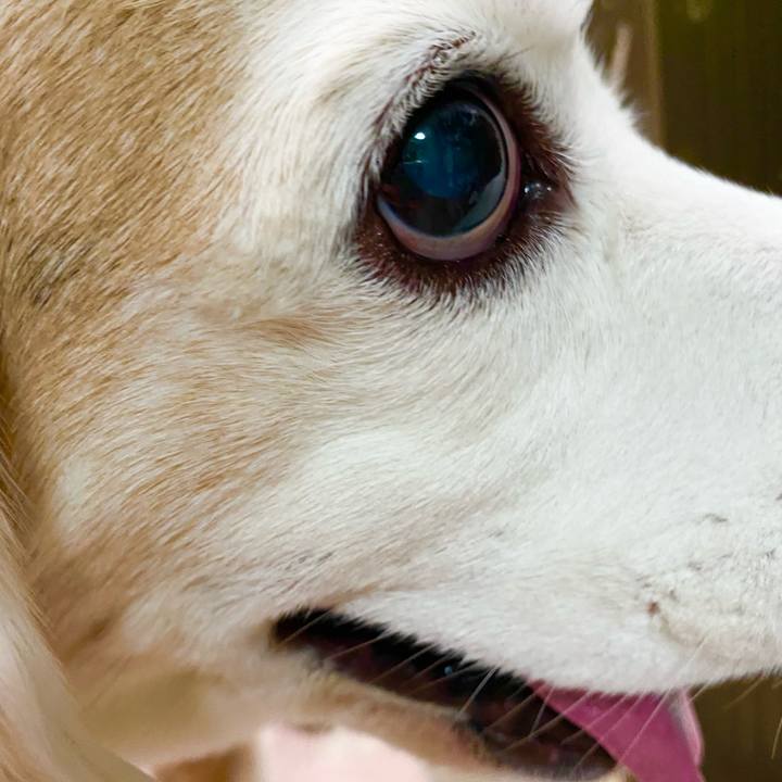 Fd7986b3 9acf 43f3 9bc1 41164035dc0e 1659756011029