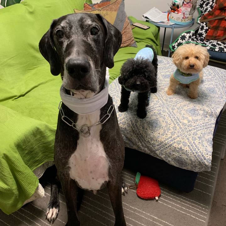 Fd799fc3 50b5 4daa 8ee1 ab0bec16ba37 1565821922704