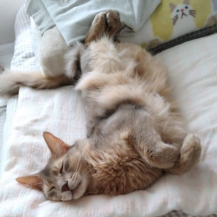 Fd79a62b bc52 4004 bc73 cc7b42ecf5ff 1625134586900