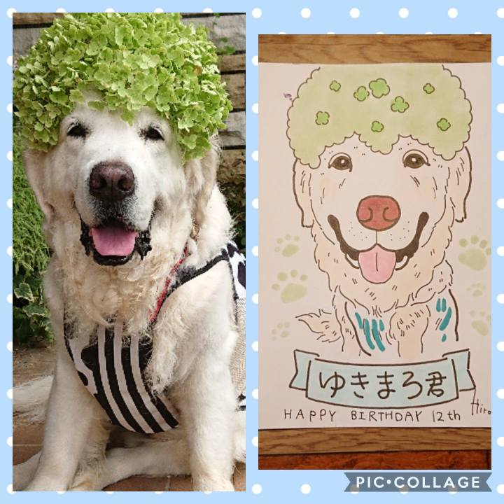 Fd79eb32 2933 4ae8 8c7b b4db55bd9510 1580830592980