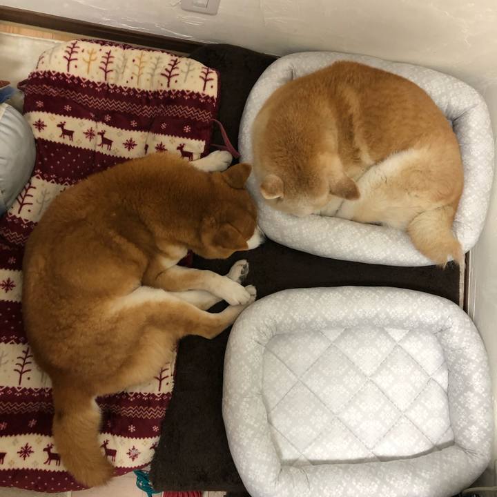 Fd7a0978 cdf2 4aa2 9d8f 0e80dd0dddb7 1556624763231