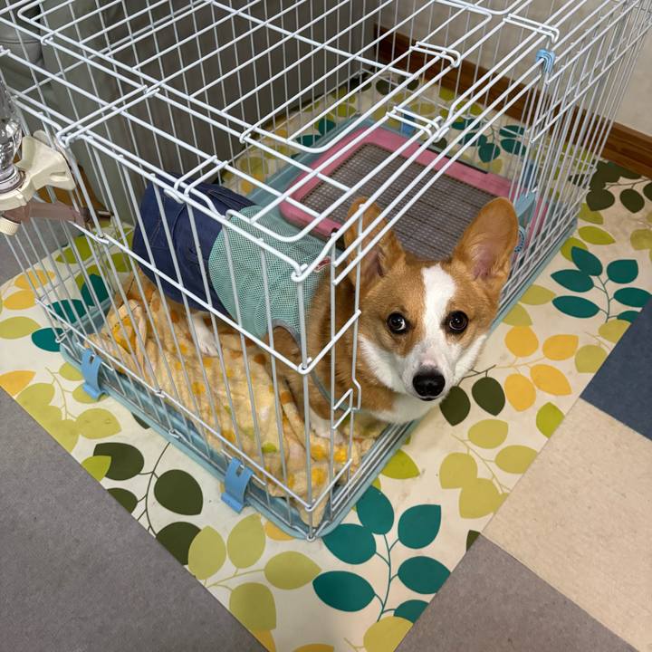 Fd7a403a 0968 4bfd b542 7fe946300df1 1758350499557