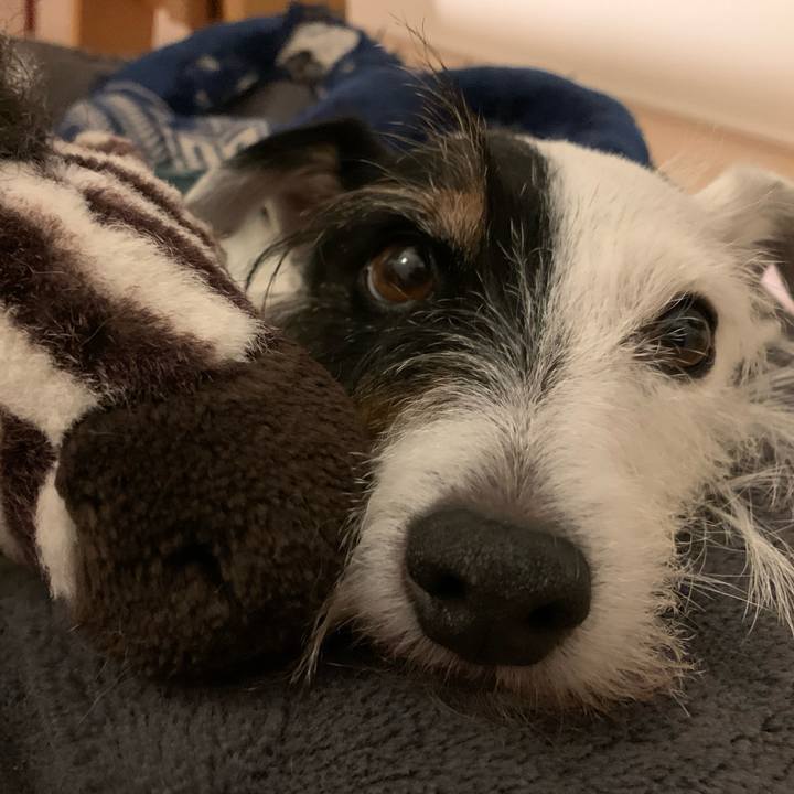 Fd7a406d 8c02 4598 9ef9 c320734ffc9f 1697547976166