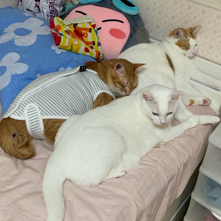 Fd7a4fa9 175f 43e7 84e9 f4a6a67f24dd 1569680748557