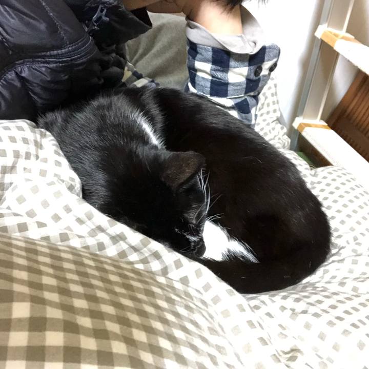 Fd7a69d8 b886 4c70 acf7 bc309c891570 1544952672326