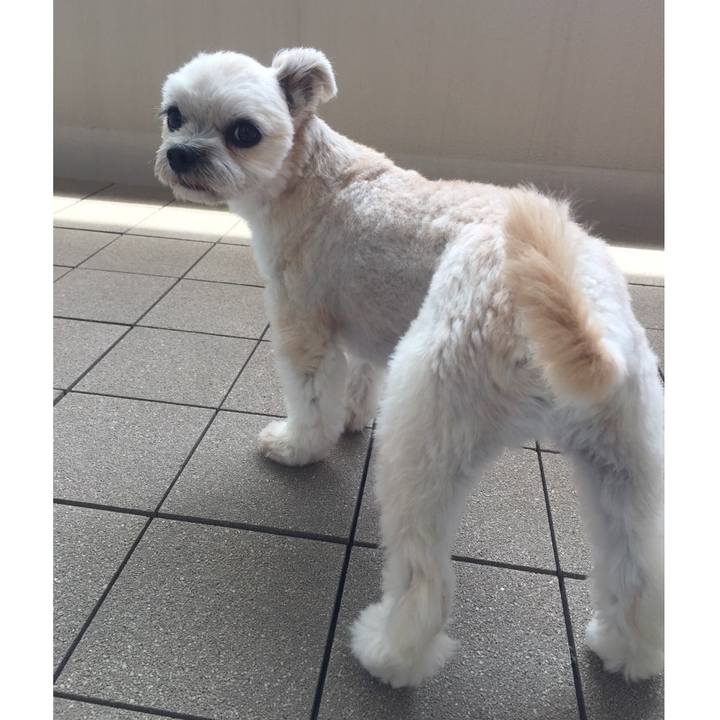 Fd7a7a82 54a4 4fc6 8783 4b62691bdbbf 1534995762639