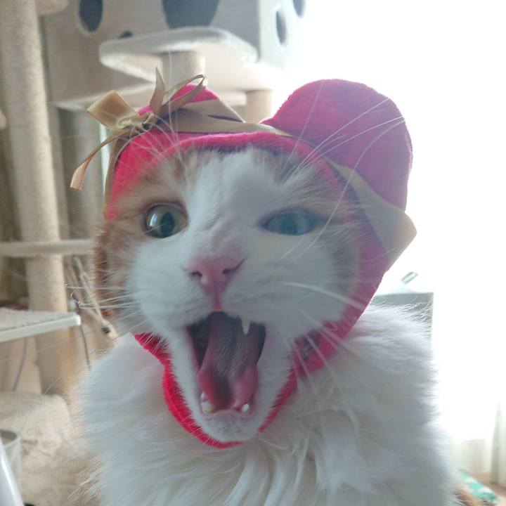 Fd7ac17a 595c 4f29 a523 f939affc1aa6 1522554023641