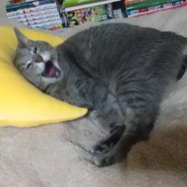 Fd7ae1f6 7399 4f76 be07 aa3a2a496fc1 1644346499650