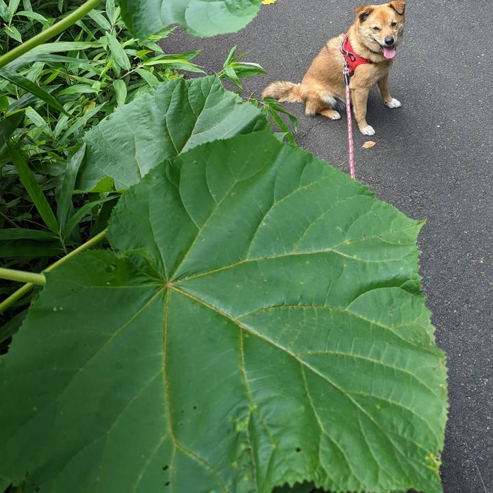 Fd7b12da 28c4 4d70 bf99 7d1d4c55f952 1658665276432