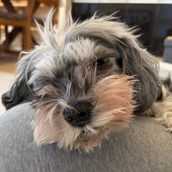 Fd7b19c3 4e00 4ce0 bfca 1de7539b00c7 1766890943999