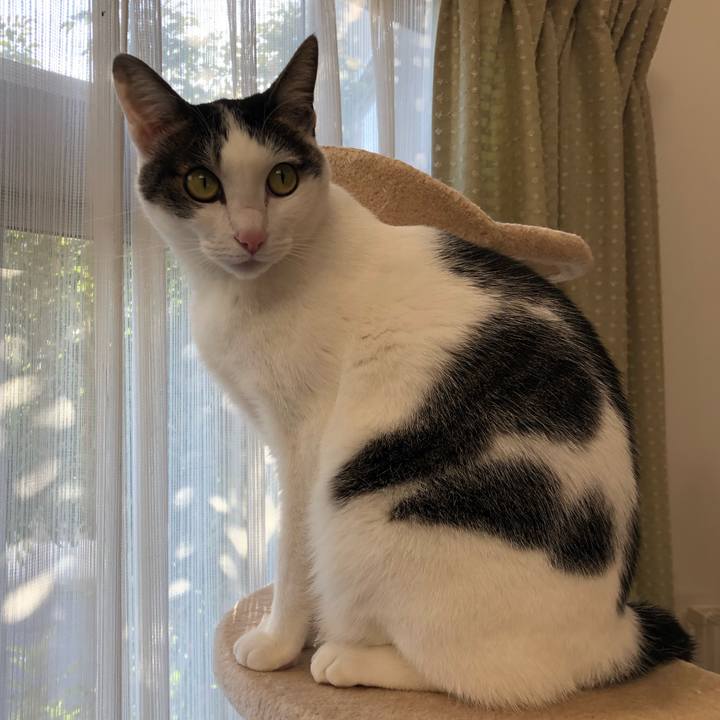 Fd7b3143 6462 44e9 b0ac 4bb327f5775e 1707465956877