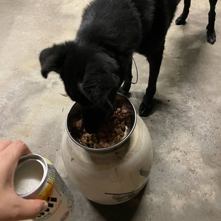 Fd7b6489 70d4 43fa b24c fa84bfd46947 1660572877243