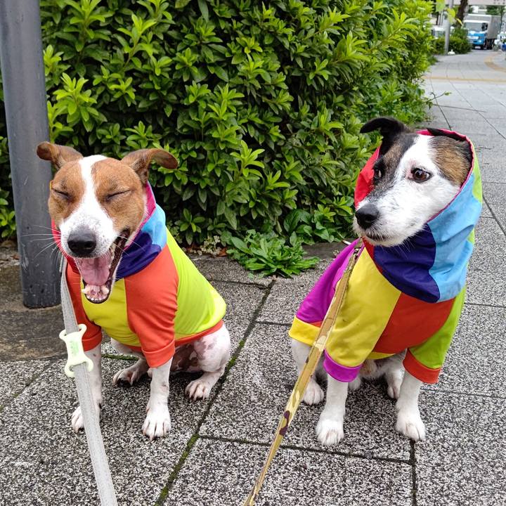 Fd7b6c5d 667f 4038 99d3 98ea9af46c38 1625697137221