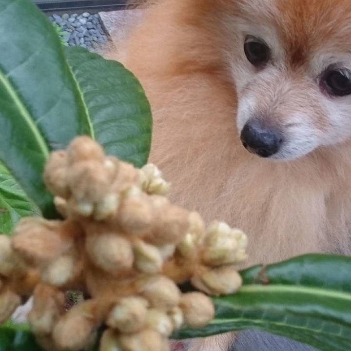 Fd7b7ef4 3de7 4b85 8d3f 7ec7f6375d6a 1538607347190