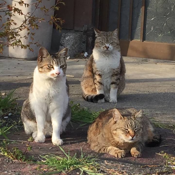 Fd7ba6f8 00c1 40fc 8601 339637ef7db3 1522583680400