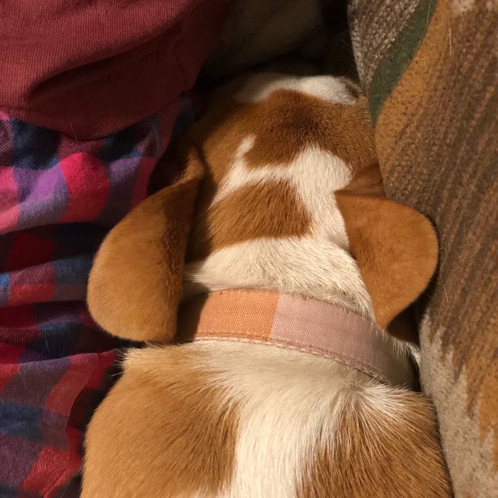 Fd7ba8b3 d2cc 4c73 8d17 a240566c07a5 1558924466333